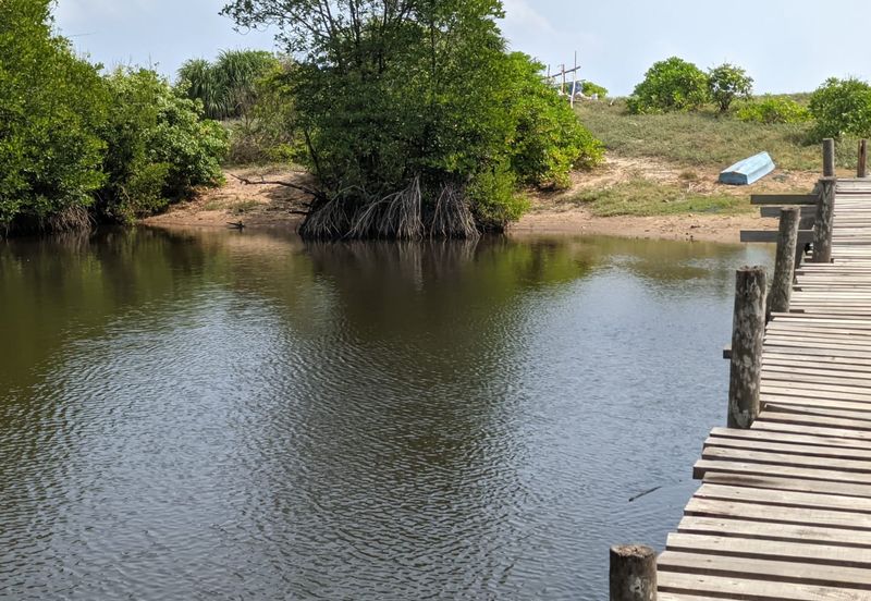 [𝐆𝐑𝐄𝐃 𝐀]𝐓𝐚𝐧𝐚𝐡 𝐛𝐞𝐫𝐬𝐭𝐚𝐭𝐮𝐬 𝐁𝐚𝐧𝐠𝐮𝐧𝐚𝐧 𝐬𝐚𝐢𝐳 𝟑𝟎𝟗𝟓𝐦² 𝐝𝐢 𝐏𝐮𝐥𝐚𝐮 𝐊𝐞𝐫𝐞𝐧𝐠𝐠𝐚, 𝐌𝐚𝐫𝐚𝐧𝐠 𝐓𝐞𝐫𝐞𝐧𝐠𝐠𝐚𝐧𝐮