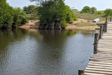 [𝐆𝐑𝐄𝐃 𝐀]𝐓𝐚𝐧𝐚𝐡 𝐛𝐞𝐫𝐬𝐭𝐚𝐭𝐮𝐬 𝐁𝐚𝐧𝐠𝐮𝐧𝐚𝐧 𝐬𝐚𝐢𝐳 𝟑𝟎𝟗𝟓𝐦² 𝐝𝐢 𝐏𝐮𝐥𝐚𝐮 𝐊𝐞𝐫𝐞𝐧𝐠𝐠𝐚, 𝐌𝐚𝐫𝐚𝐧𝐠 𝐓𝐞𝐫𝐞𝐧𝐠𝐠𝐚𝐧𝐮