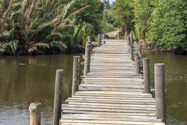 [𝐆𝐑𝐄𝐃 𝐀]𝐓𝐚𝐧𝐚𝐡 𝐛𝐞𝐫𝐬𝐭𝐚𝐭𝐮𝐬 𝐁𝐚𝐧𝐠𝐮𝐧𝐚𝐧 𝐬𝐚𝐢𝐳 𝟑𝟎𝟗𝟓𝐦² 𝐝𝐢 𝐏𝐮𝐥𝐚𝐮 𝐊𝐞𝐫𝐞𝐧𝐠𝐠𝐚, 𝐌𝐚𝐫𝐚𝐧𝐠 𝐓𝐞𝐫𝐞𝐧𝐠𝐠𝐚𝐧𝐮