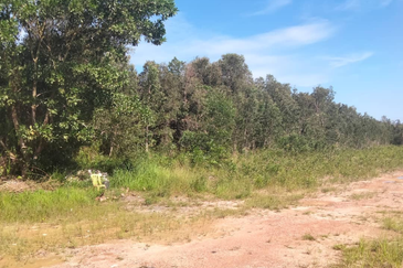 [Gred A] Tanah 3.17 ekar Di Kg Banggol Tok Jiring, Gong Badak, Terengganu berdekatan Airport