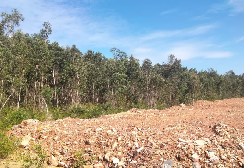 [Gred A] Tanah 3.17 ekar Di Kg Banggol Tok Jiring, Gong Badak, Terengganu berdekatan Airport