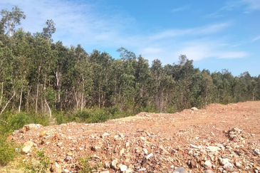 [Gred A] Tanah 3.17 ekar Di Kg Banggol Tok Jiring, Gong Badak, Terengganu berdekatan Airport