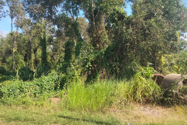 [Gred A] Tanah 3.17 ekar Di Kg Banggol Tok Jiring, Gong Badak, Terengganu berdekatan Airport