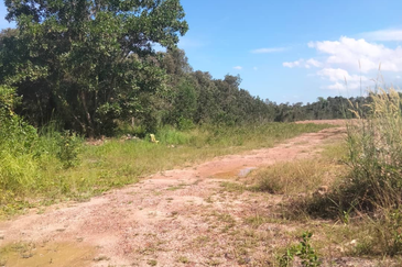 [Gred A] Tanah 3.17 ekar Di Kg Banggol Tok Jiring, Gong Badak, Terengganu berdekatan Airport