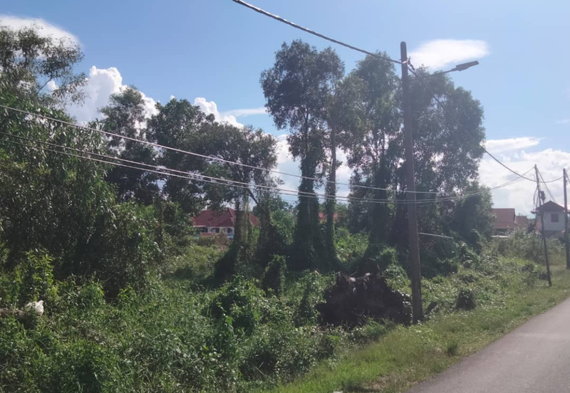 [Gred A] Tanah 3.17 ekar Di Kg Banggol Tok Jiring, Gong Badak, Terengganu berdekatan Airport