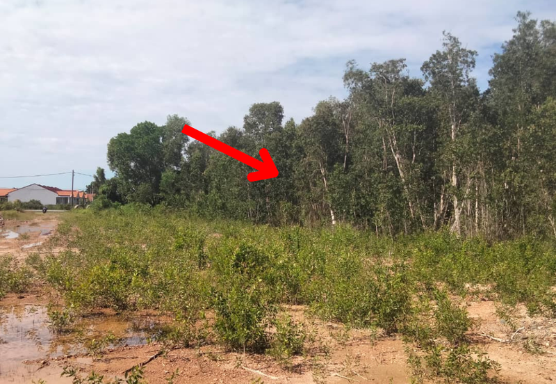 [Gred A] Tanah 3.17 ekar Di Kg Banggol Tok Jiring, Gong Badak, Terengganu berdekatan Airport