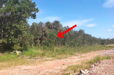 [Gred A] Tanah 3.17 ekar Di Kg Banggol Tok Jiring, Gong Badak, Terengganu berdekatan Airport