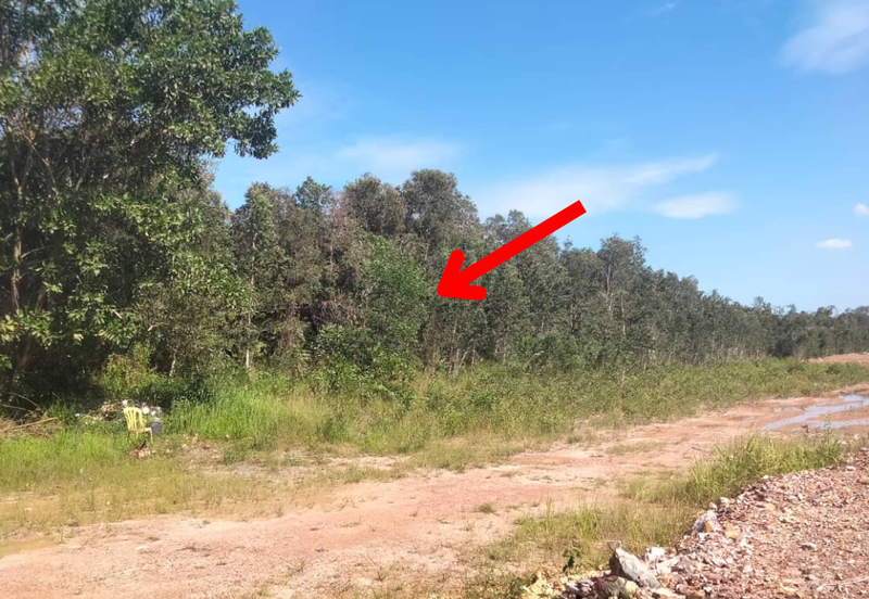 [Gred A] Tanah 3.17 ekar Di Kg Banggol Tok Jiring, Gong Badak, Terengganu berdekatan Airport