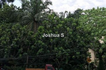 Kenny Hills (Bukit Tunku)