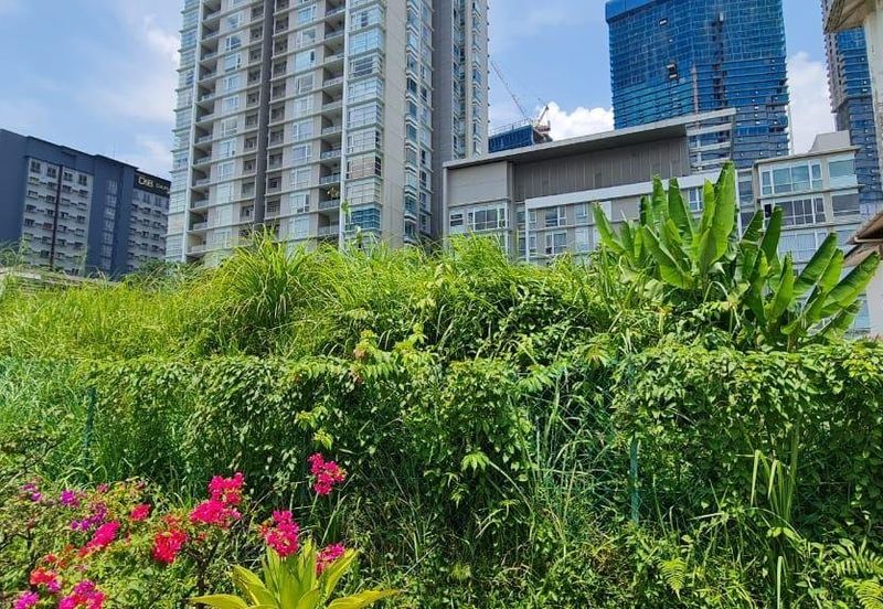 Damansara Heights (Bukit Damansara)