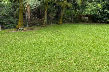 Damansara Heights (Bukit Damansara)