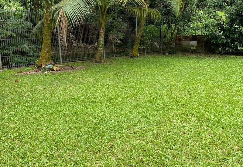 Damansara Heights (Bukit Damansara)