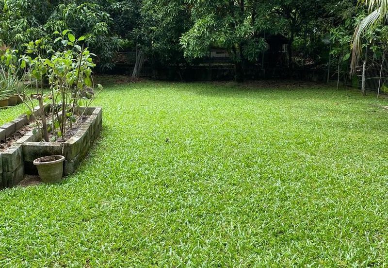 Damansara Heights (Bukit Damansara)