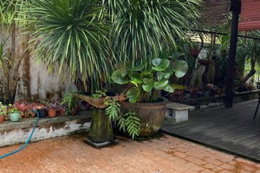 Damansara Heights (Bukit Damansara)