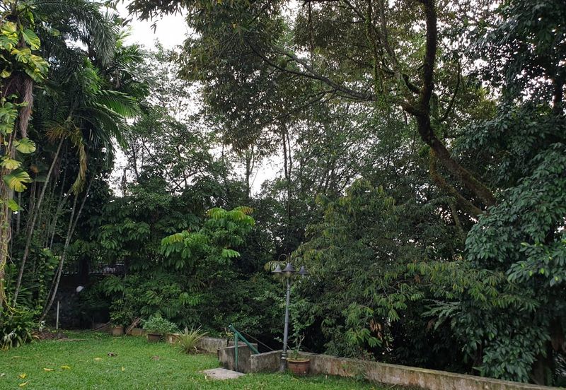 Damansara Heights (Bukit Damansara)