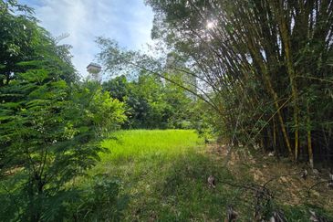 Damansara Heights (Bukit Damansara)