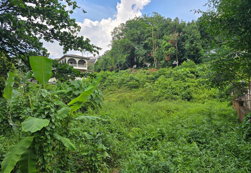 Damansara Heights (Bukit Damansara)