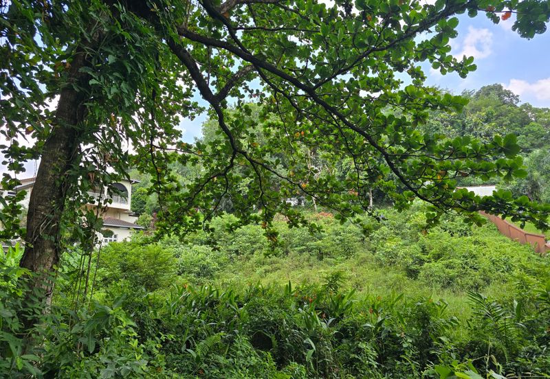 Damansara Heights (Bukit Damansara)