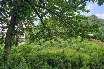 Damansara Heights (Bukit Damansara)