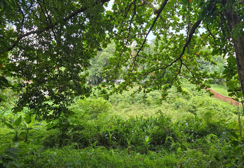 Damansara Heights (Bukit Damansara)