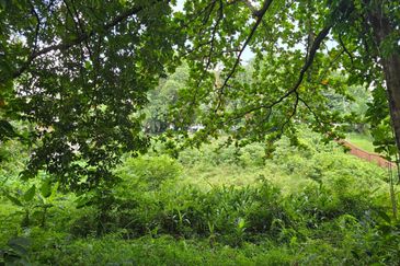 Damansara Heights (Bukit Damansara)