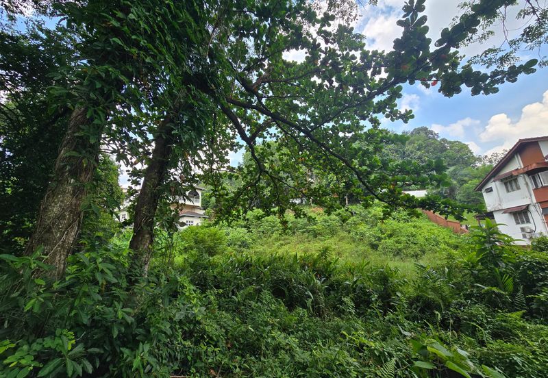 Damansara Heights (Bukit Damansara)