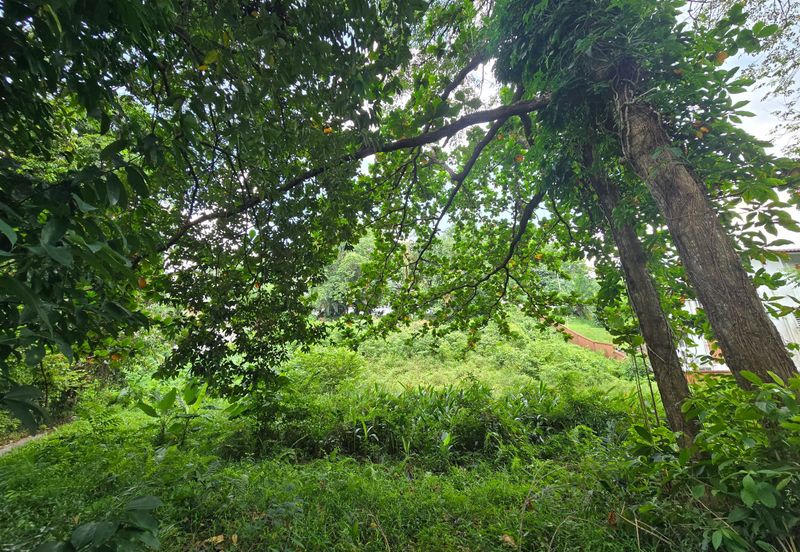 Damansara Heights (Bukit Damansara)