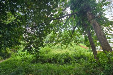 Damansara Heights (Bukit Damansara)