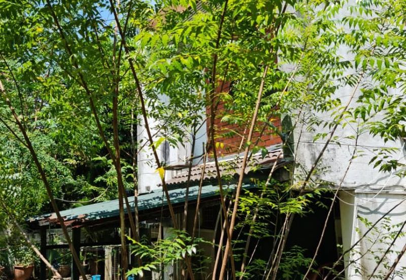 Damansara Heights (Bukit Damansara)