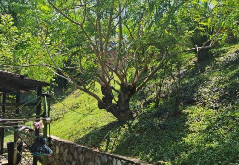 Damansara Heights (Bukit Damansara)