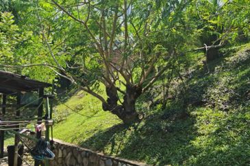 Damansara Heights (Bukit Damansara)