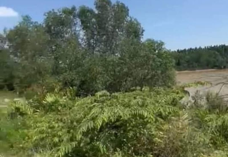 Telok Panglima Garang Industrial Zone