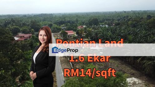 Pontian Durian Ageiculture Land Sale Johor , Johor, Pontian