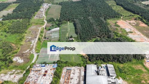 Senai Seelong Zon Industrial Agriculture Land Sale Johor , Johor, Senai