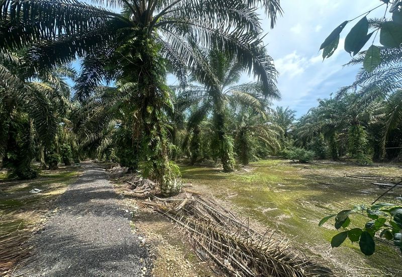 JERAM BATU PEKAN NENAS
