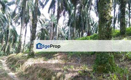 Kajang Freehold Development Land For Sale, Selangor, Kajang