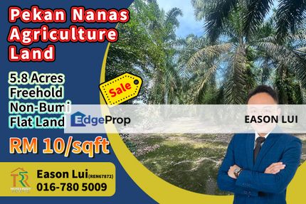 Pekan Nanas 5.8 Acres Agriculture Land For Sale, Johor, Pontian
