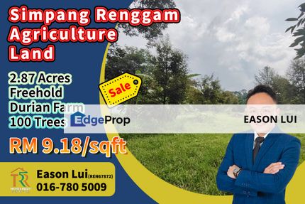 Simpang Renggam / Agriculture Land / Durian Farm, Johor, Kluang