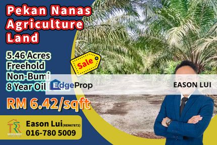 Pekan Nanas Agriculture Land For Sale, Johor, Pontian