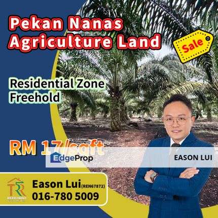 Pekan Nanas Agriculture Land For Sale, Johor, Pontian