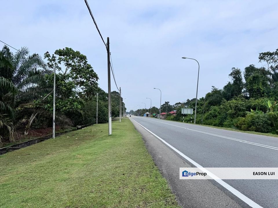 Pekan Nanas Agriculture Land For Sale, Johor, Pontian