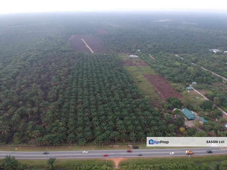 Pekan Nanas Agriculture Land For Sale, Johor, Pontian