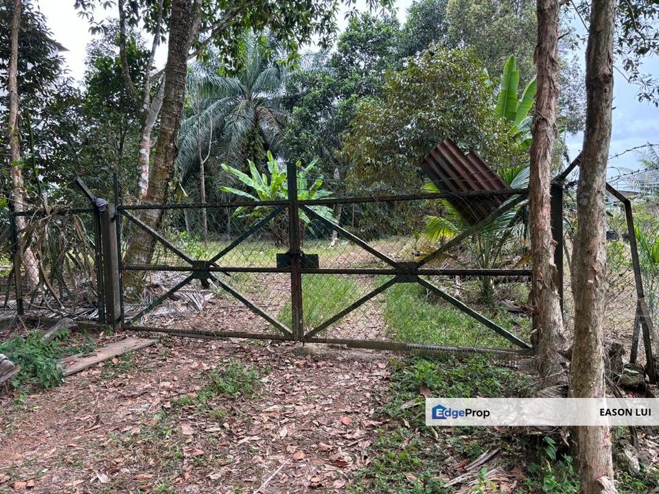 Kota Tinggi Agriculture Land For Sale, Johor, Ulu Tiram