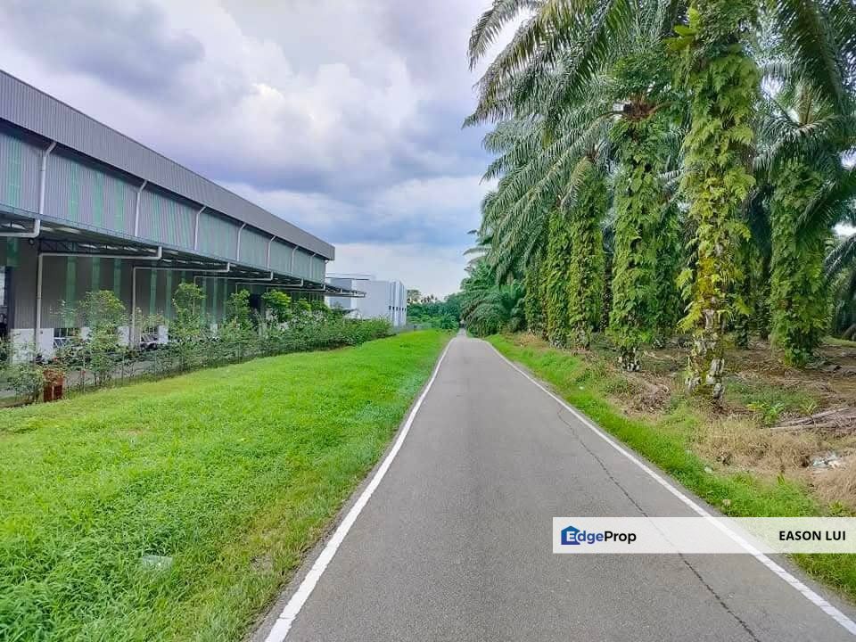 Gelang Patah Agriculture Land For Sale, Johor, Gelang Patah