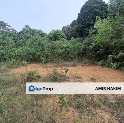 Bungalows Lot Paya Jaras Sungai Buloh, Selangor, Sungai Buloh