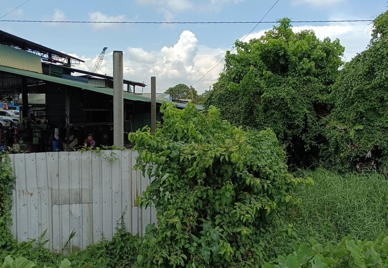 Klang - Selat Klang Highway/Jalan Goh Hock Huat - Agriculture Land - For Sales