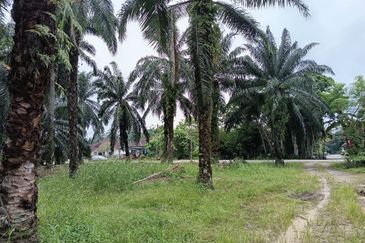 Teluk Panglima Garang - Sijangkang - Fronting Jalan Melor - Agriculture Land - For Sales