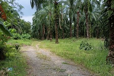 Teluk Panglima Garang - Sijangkang - Fronting Jalan Melor - Agriculture Land - For Sales