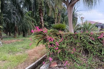 Teluk Panglima Garang - Sijangkang - Fronting Jalan Melor - Agriculture Land - For Sales