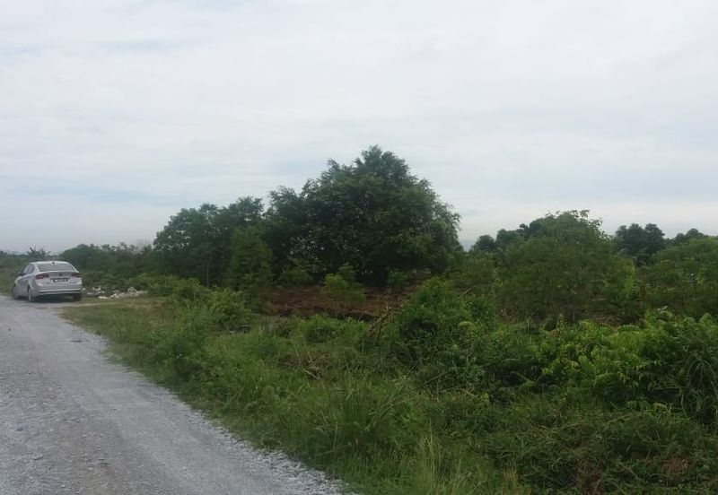 Klang - Johan Setia - Revolusi Hijau Batu 5 - Agriculture Land - For Sales